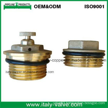 Customized Quality Brass Air Vent Valve (AV3068)